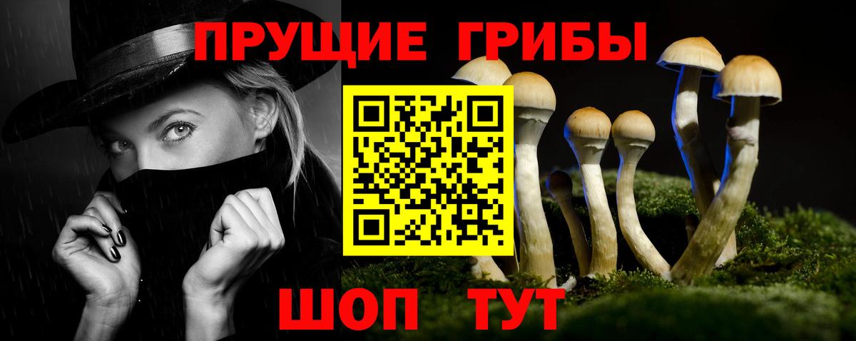 Галлюциногенные грибы GOLDEN TEACHER Углич